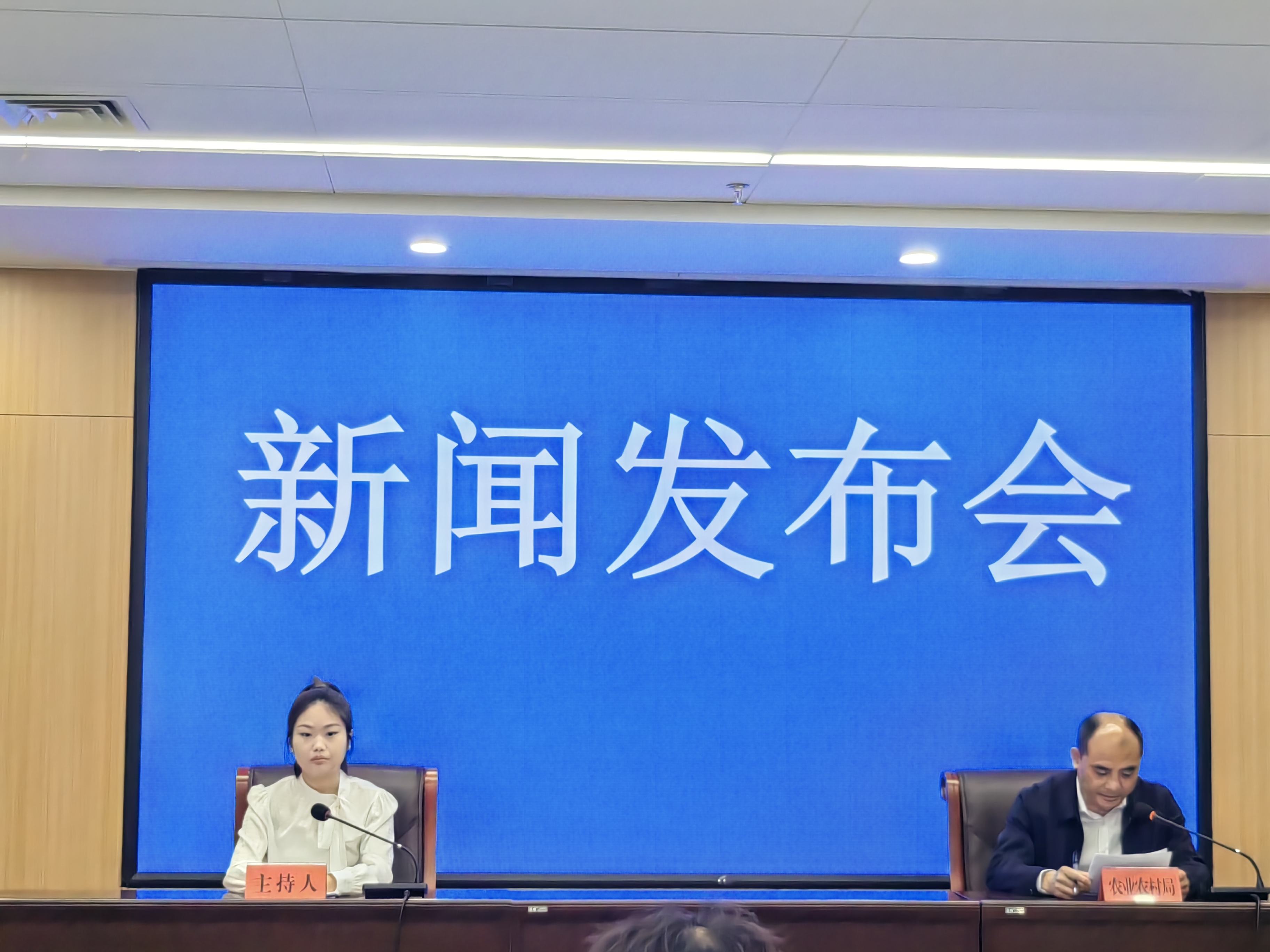 【2025】蕭縣小麥赤霉病防治工作情況